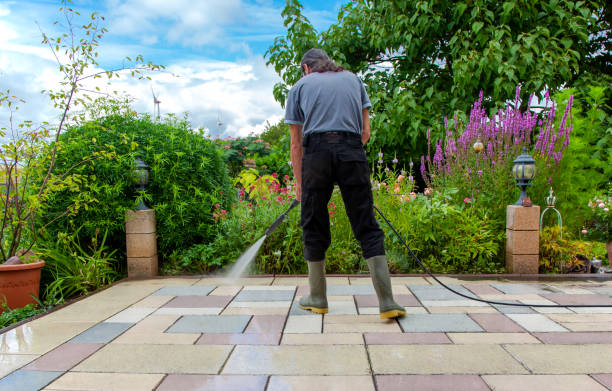 Best Animal Enclosure Cleaning  in Sorgho, KY