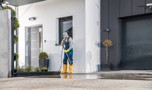 Best Solar Panel Cleaning  in Sorgho, KY